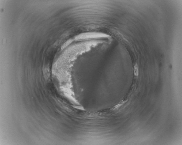 X0000070341011200607072007