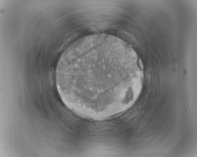 X0000070341012200607072007