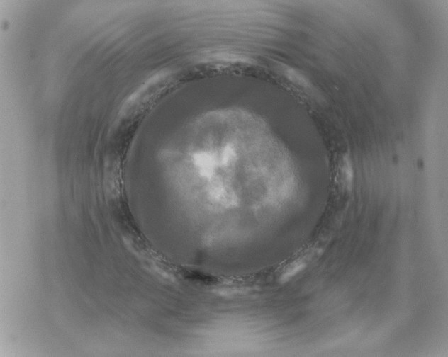 X0000070341014200607072007