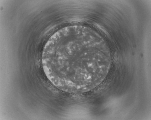 X0000070341015200607072007