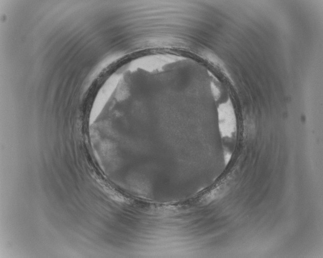 X0000070341019200607072007