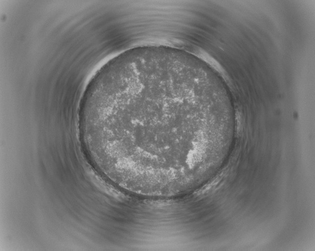 X0000070341020200607072007