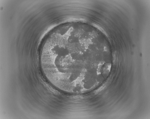 X0000070341021200607072007