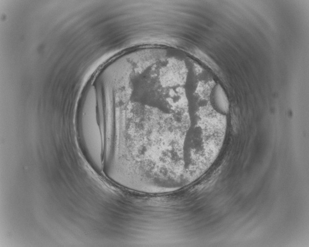 X0000070341028200607072007