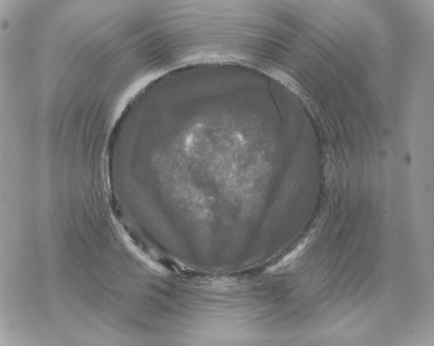 X0000070341030200607072008