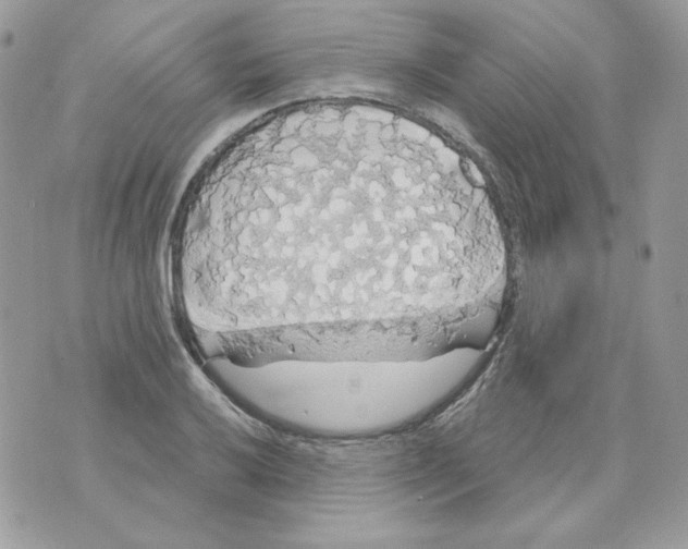 X0000070341032200607072008