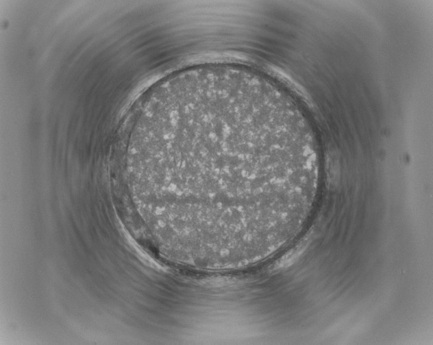 X0000070341033200607072008