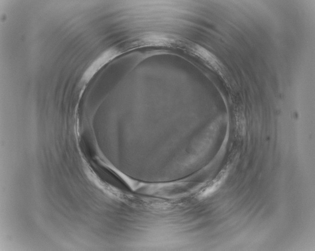 X0000070341034200607072008