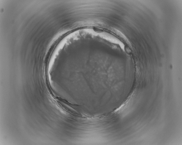 X0000070341035200607072008