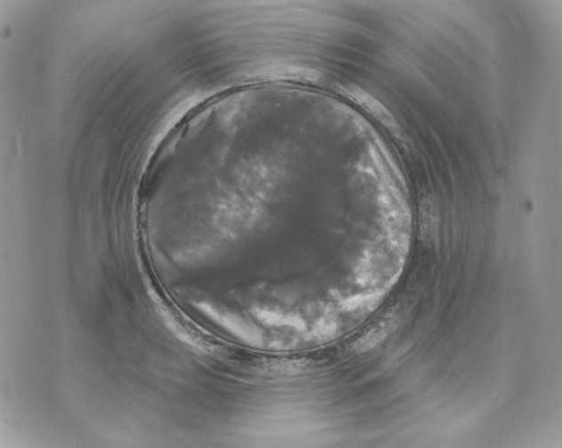 X0000070341039200607072008