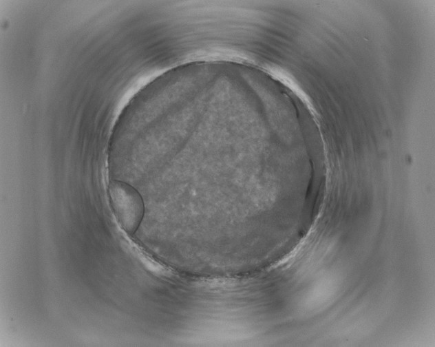 X0000070341040200607072008