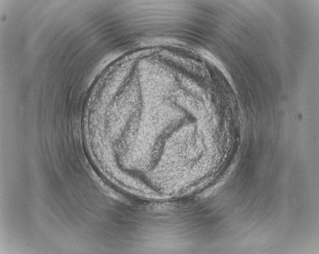 X0000070341041200607072008