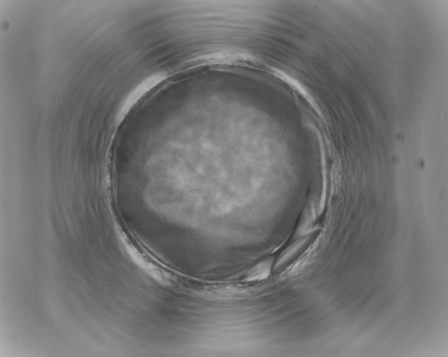 X0000070341042200607072008