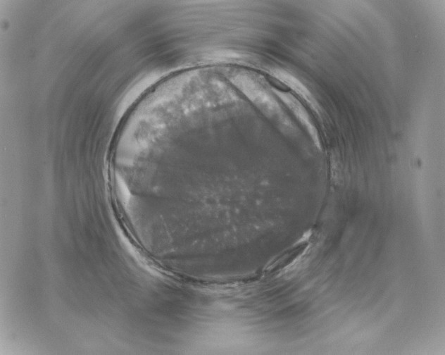 X0000070341047200607072008