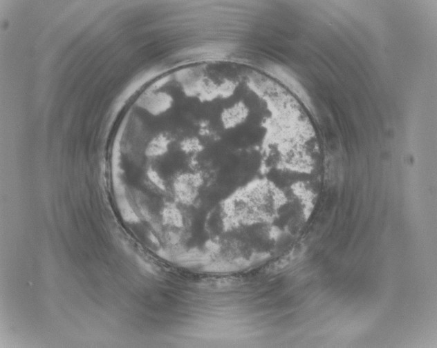 X0000070341051200607072008