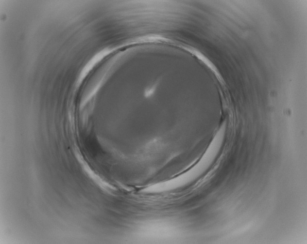 X0000070341054200607072008