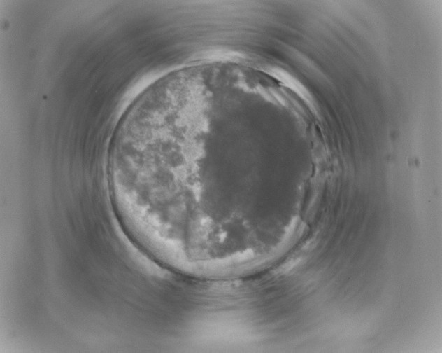 X0000070341055200607072008