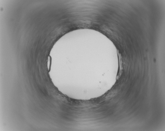 X0000070341057200607072007