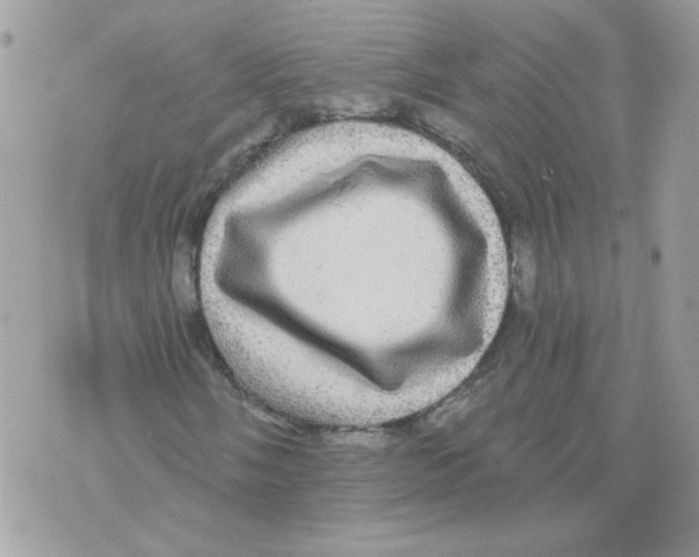 X0000070341058200607072007