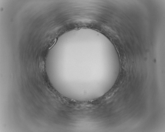 X0000070341061200607072007