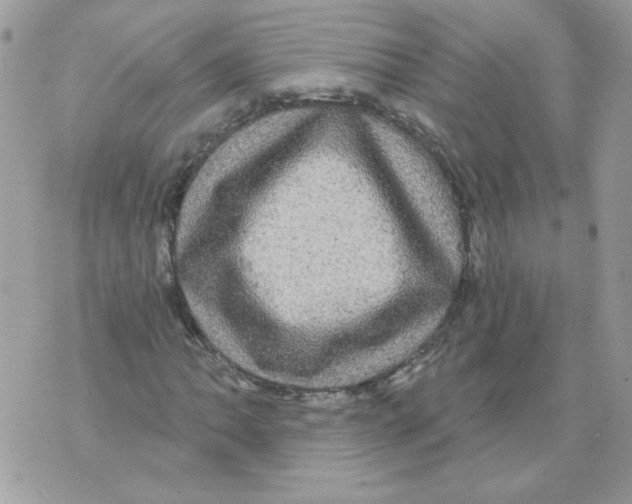 X0000070341062200607072007