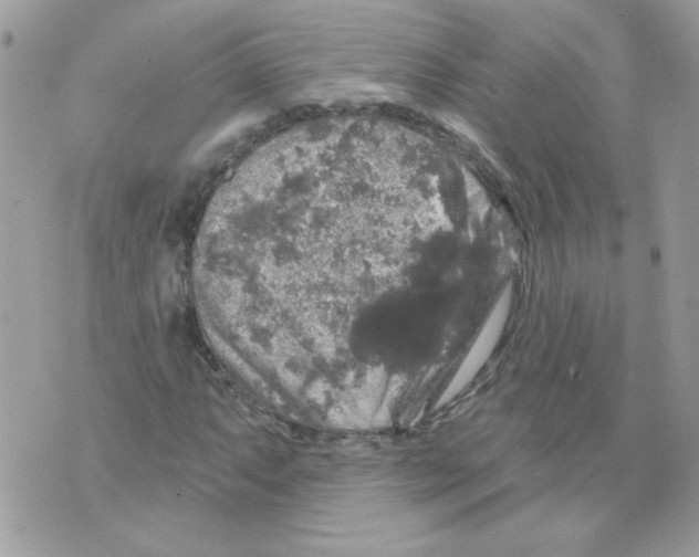 X0000070341063200607072007