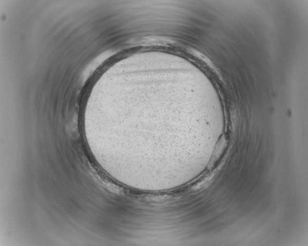 X0000070341066200607072007