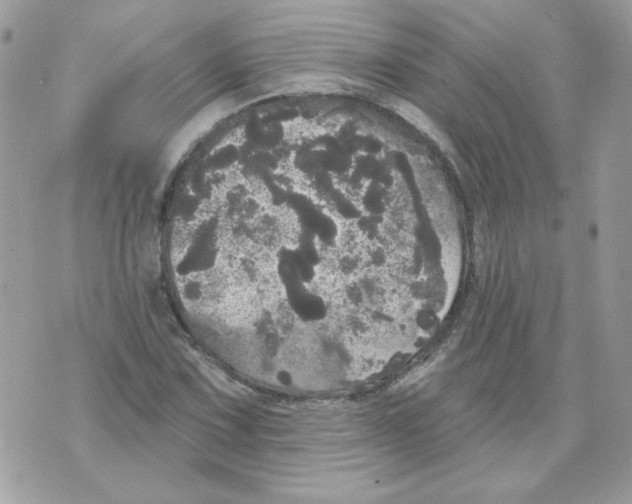 X0000070341067200607072007