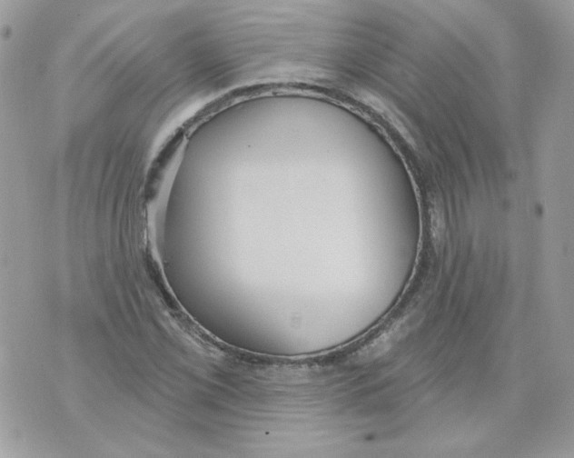 X0000070341069200607072007