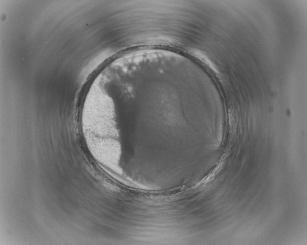 X0000070341071200607072007