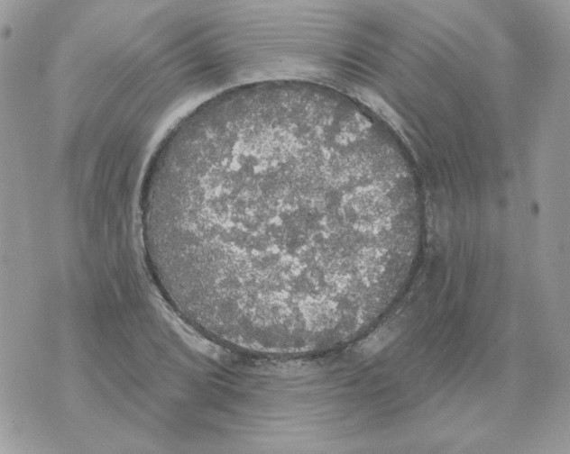 X0000070341072200607072007