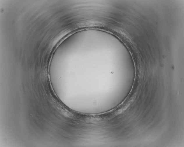 X0000070341073200607072007