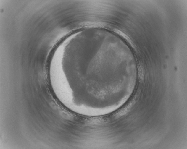 X0000070341074200607072007