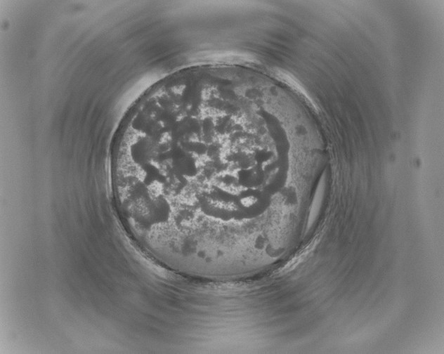 X0000070341079200607072007