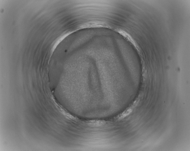 X0000070341081200607072007