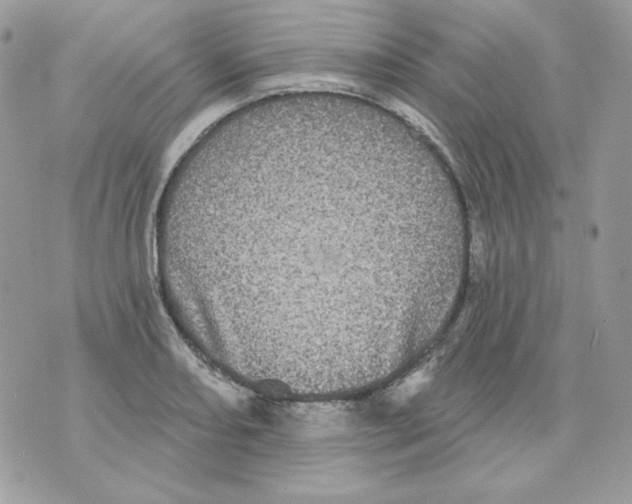 X0000070341082200607072007