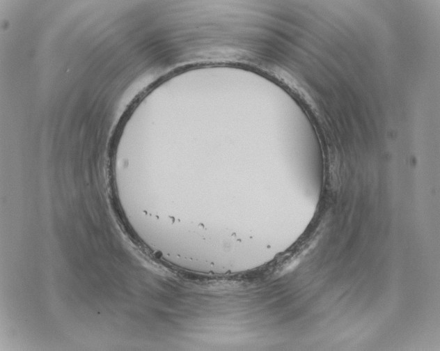 X0000070341085200607072007