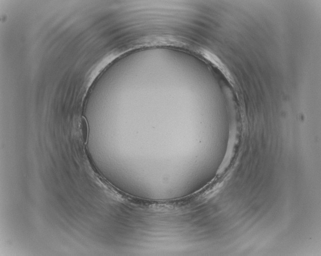 X0000070341089200607072007