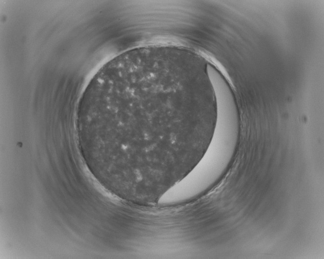 X0000070341091200607072007