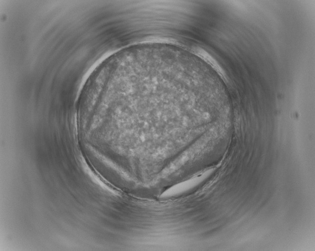 X0000070341092200607072007