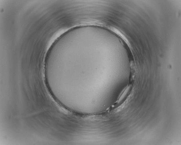 X0000070341093200607072007