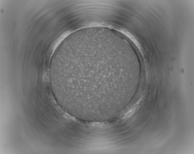 X0000070341097200607072007