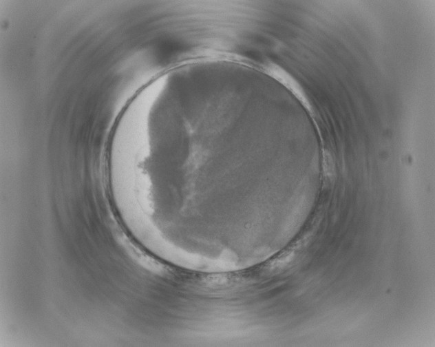 X0000070341098200607072006