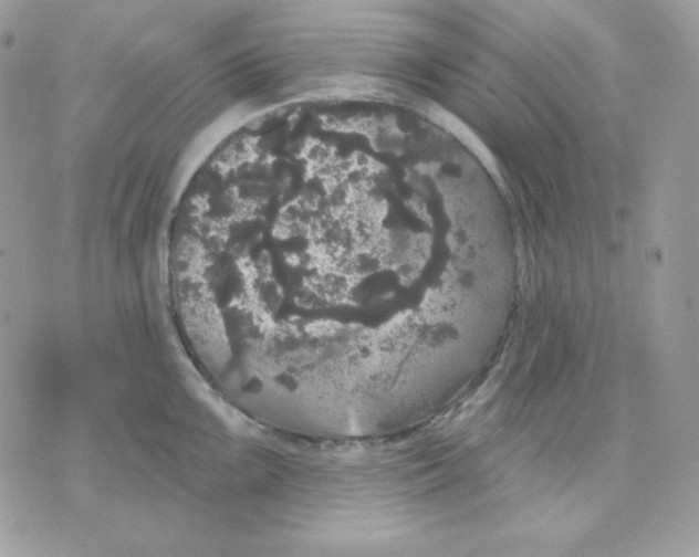 X0000070341099200607072006