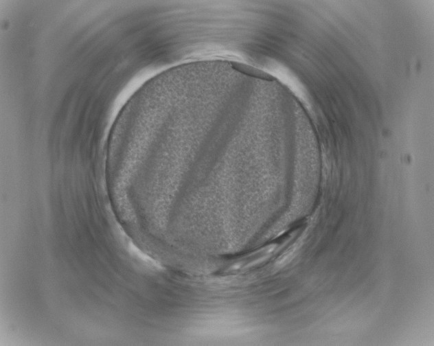 X0000070341102200607072006