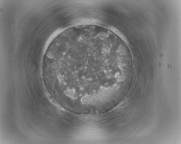 X0000070341104200607072006