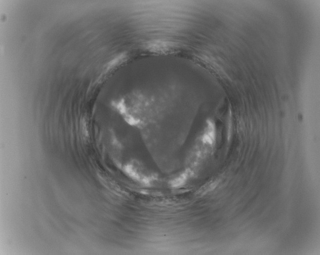 X0000070341106200607072006