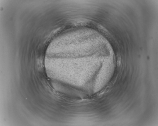 X0000070341108200607072006