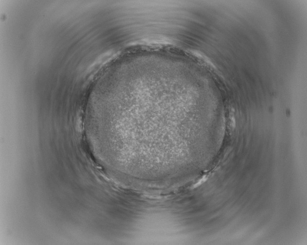 X0000070341110200607072006