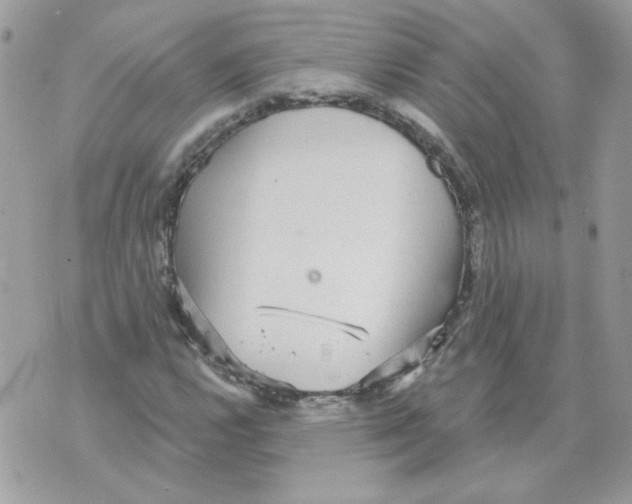 X0000070341112200607072006